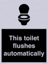 this-toilet-flushes-automatically~